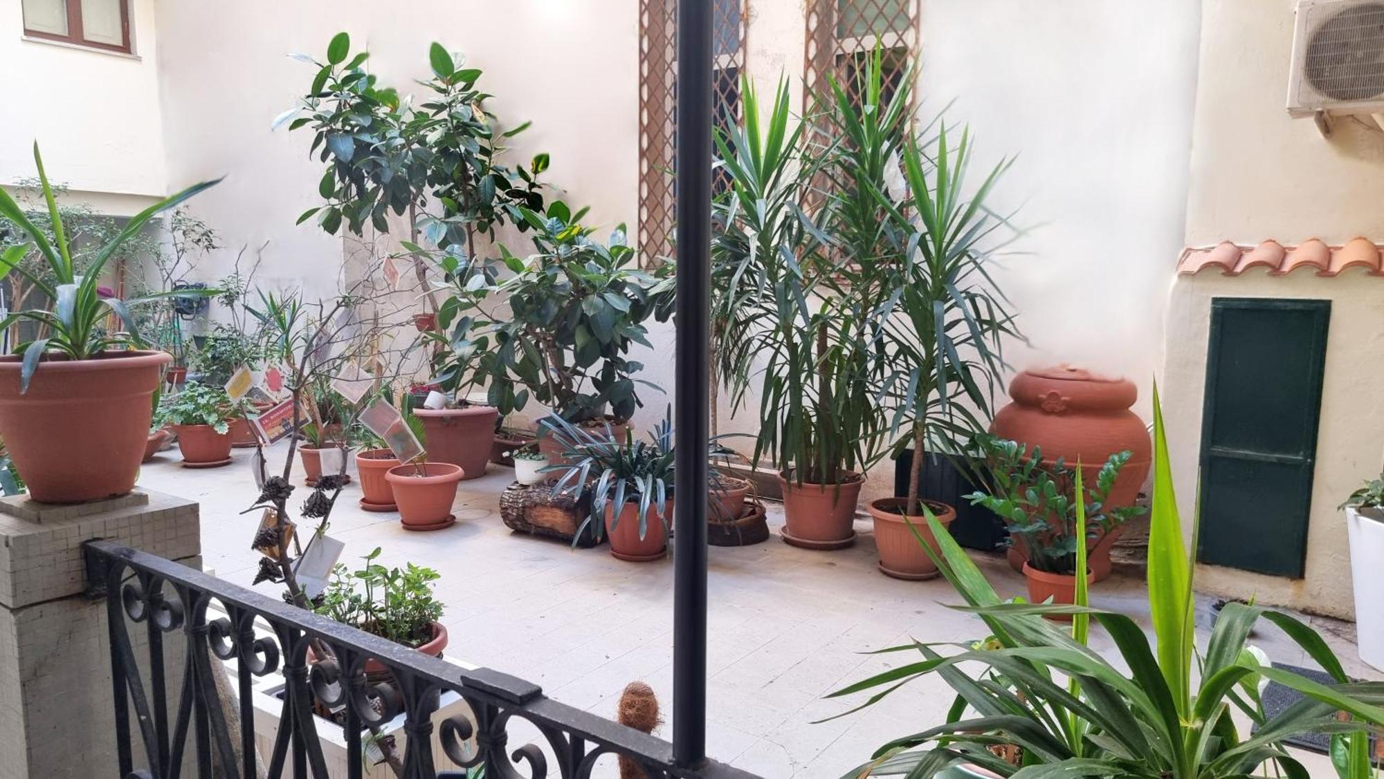 Loft Magna Grecia Reggio Calabria Centro Storico A 3 Minuti A Piedi Dal Mare Apartamento Exterior foto